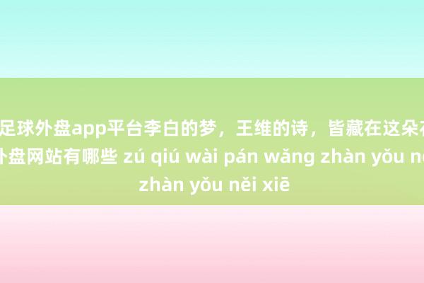 现金足球外盘app平台李白的梦，王维的诗，皆藏在这朵花里-足球外盘网站有哪些 zú qiú wài pán wǎng zhàn yǒu něi xiē