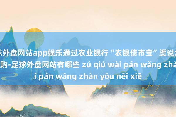 足球外盘网站app娱乐通过农业银行“农银债市宝”渠说念实现1亿元国债认购-足球外盘网站有哪些 zú qiú wài pán wǎng zhàn yǒu něi xiē